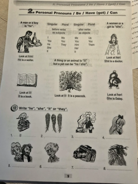 12. Write "he", "she", "it" or "they".