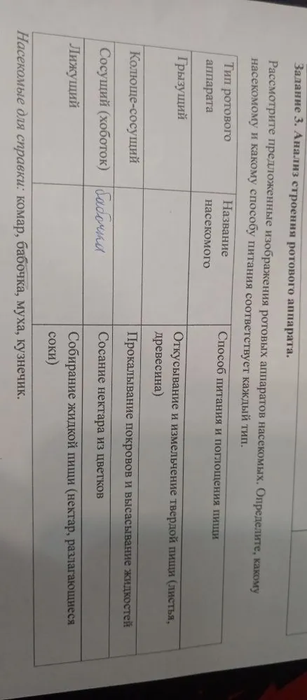 Задание 3. Анализ строения ротового аппарата. Рассмотрите предложенные изображения ротовых аппаратов насекомых. Определите, какому насекомому и какому способу питания соответствует каждый тип.