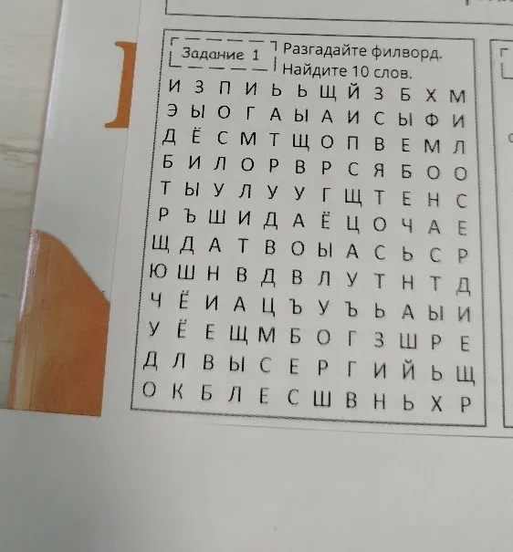 Задание 1: Разгадайте филворд. Найдите 10 слов.
