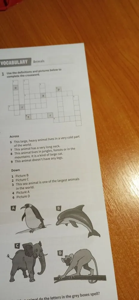 Use the definitions and pictures below to complete the crossword.