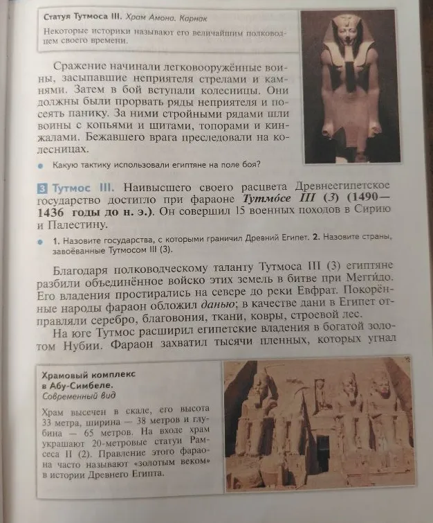 Главная мысль текста заключается в том, что Древнеегипетское государство достигло своего наивысшего могущества и расширило границы благодаря успешным военным походам и полководческому таланту фараона Тутмоса III.