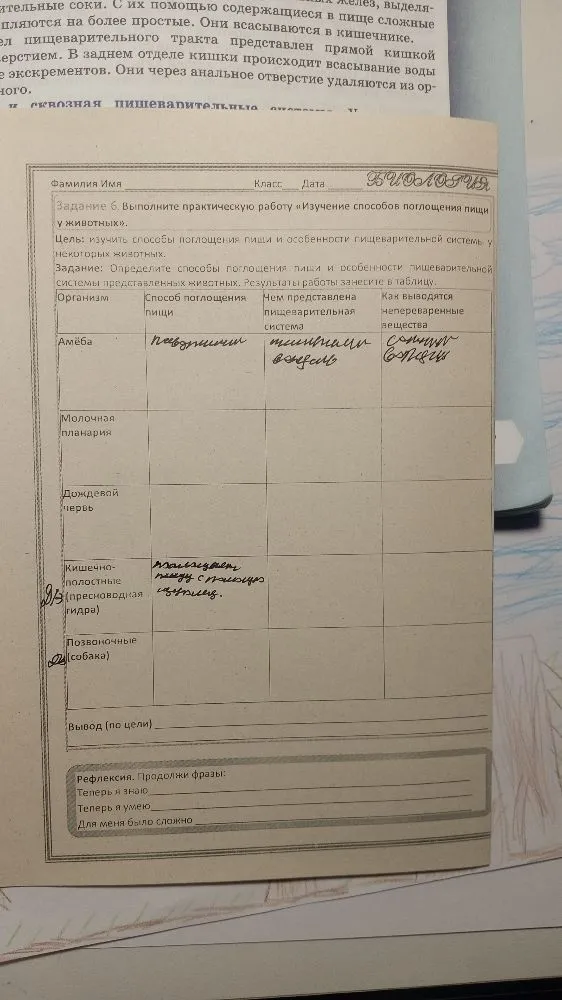 Задание 6. Выполните практическую работу «Изучение способов поглощения пищи у животных».