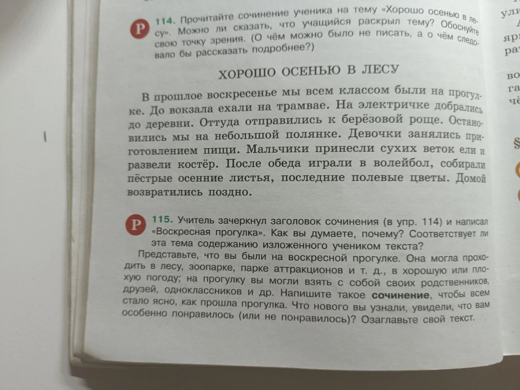 114. Прочитайте сочинение ученика на тему «Хорошо осенью в лесу». Можно ли сказать, что учащийся раскрыл тему? Обоснуйте свою точку зрения. (О чём можно было не писать, а о чём следовало бы рассказать подробнее?)