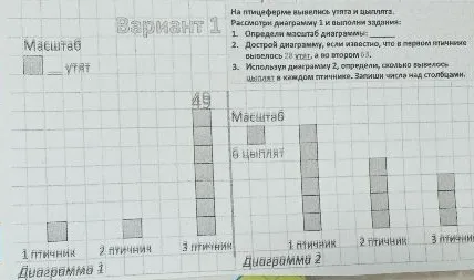 На птицеферме вывелись утята и цыплята. Рассмотри диаграмму 1 и выполни задания: