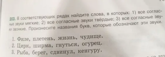 203. В соответствующих рядах найдите слова, в которых: 1) все согласные звуки мягкие; 2) все согласные звуки твёрдые; 3) все согласные звуки звонкие.