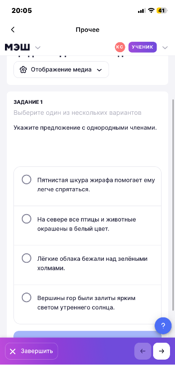 Укажите предложение с однородными членами.