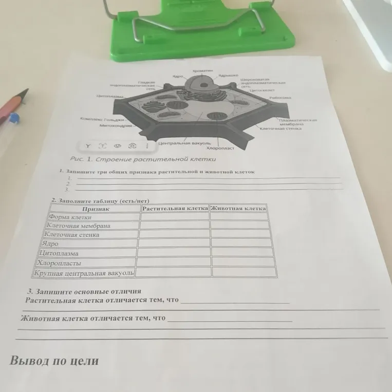 1. Запишите три общих признака растительной и животной клеток