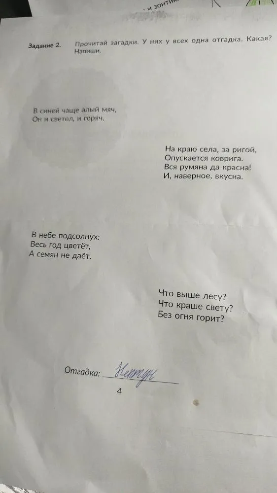 Прочитай загадки. У них у всех одна отгадка. Какая? Напиши.