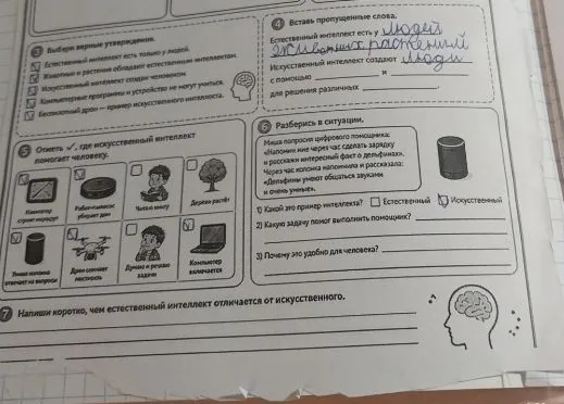 Разберись в ситуации. Миша попросил цифрового помощника: «Напомни мне через час сделать зарядку и расскажи интересный факт о дельфинах».