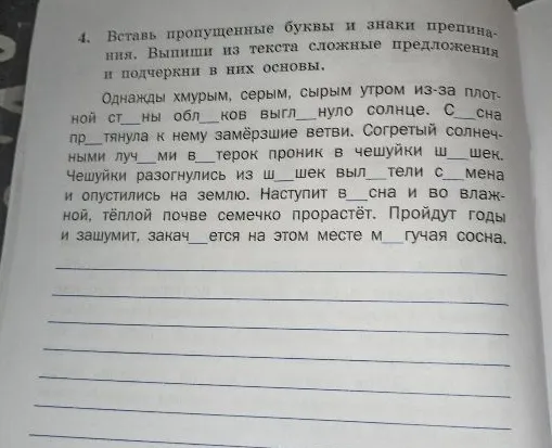 4. Вставь пропущенные буквы и знаки препинания. Выпиши из текста сложные предложения и подчеркни в них основы.