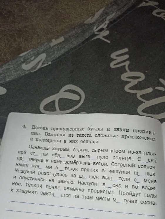 4. Вставь пропущенные буквы и знаки препинания. Выпиши из текста сложные предложения и подчеркни в них основы.