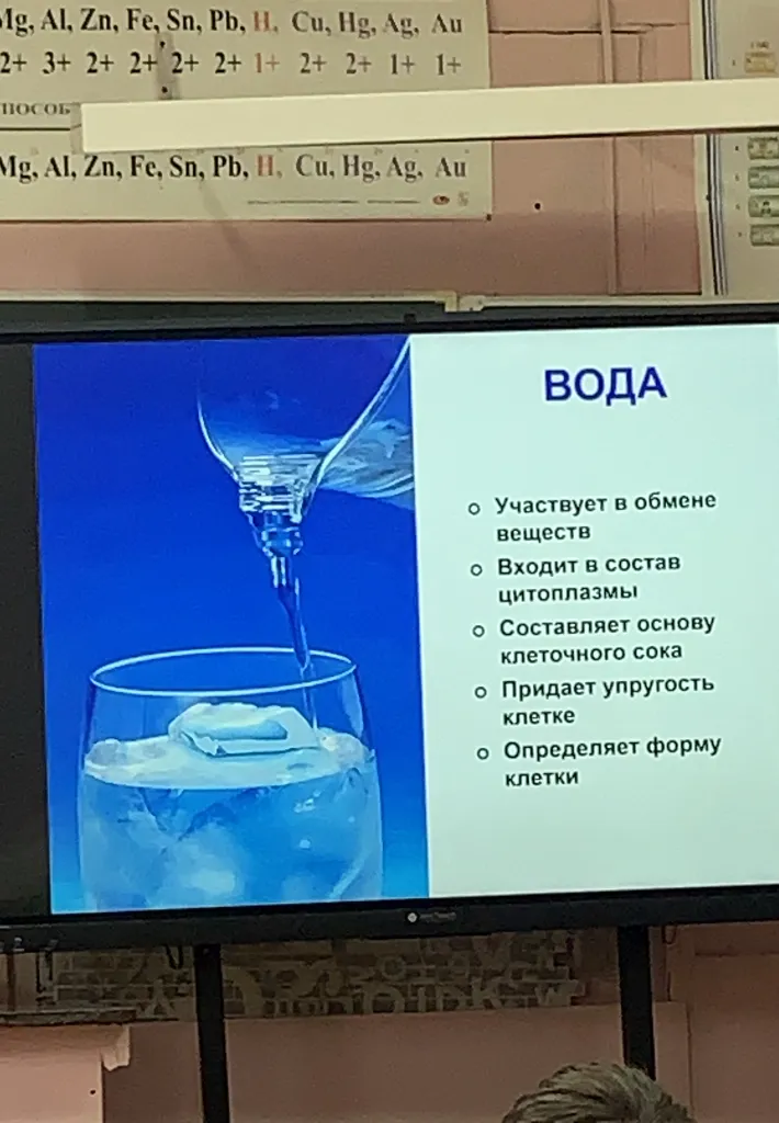ВОДА. Участвует в обмене веществ. Входит в состав цитоплазмы. Составляет основу клеточного сока. Придает упругость клетке. Определяет форму клетки.