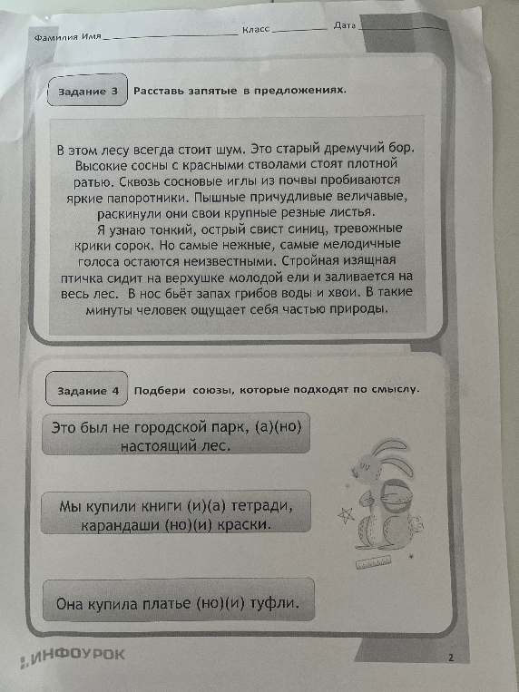 Задание 3 Расставь запятые в предложениях.