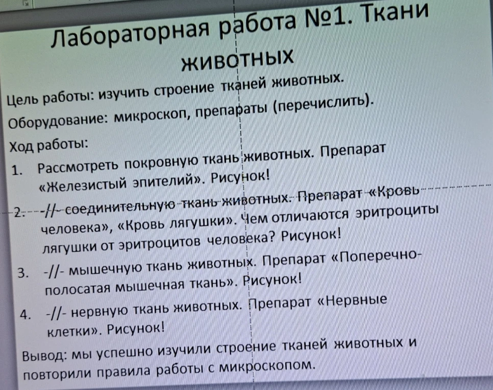 Лабораторная работа №1. Ткани животных.