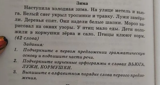 Наступила холодная зима. На улице метель и вьюга.