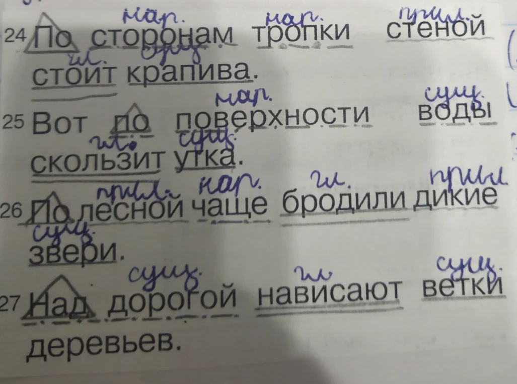 Разобрать предложения: По сторонам тропки стеной стоит крапива...