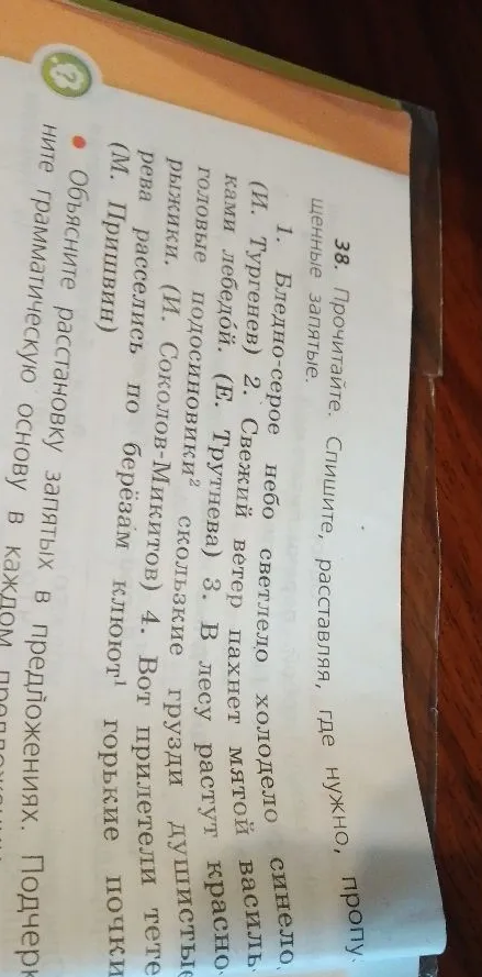 38. Прочитайте. Спишите, расставляя, где нужно, пропущенные запятые.