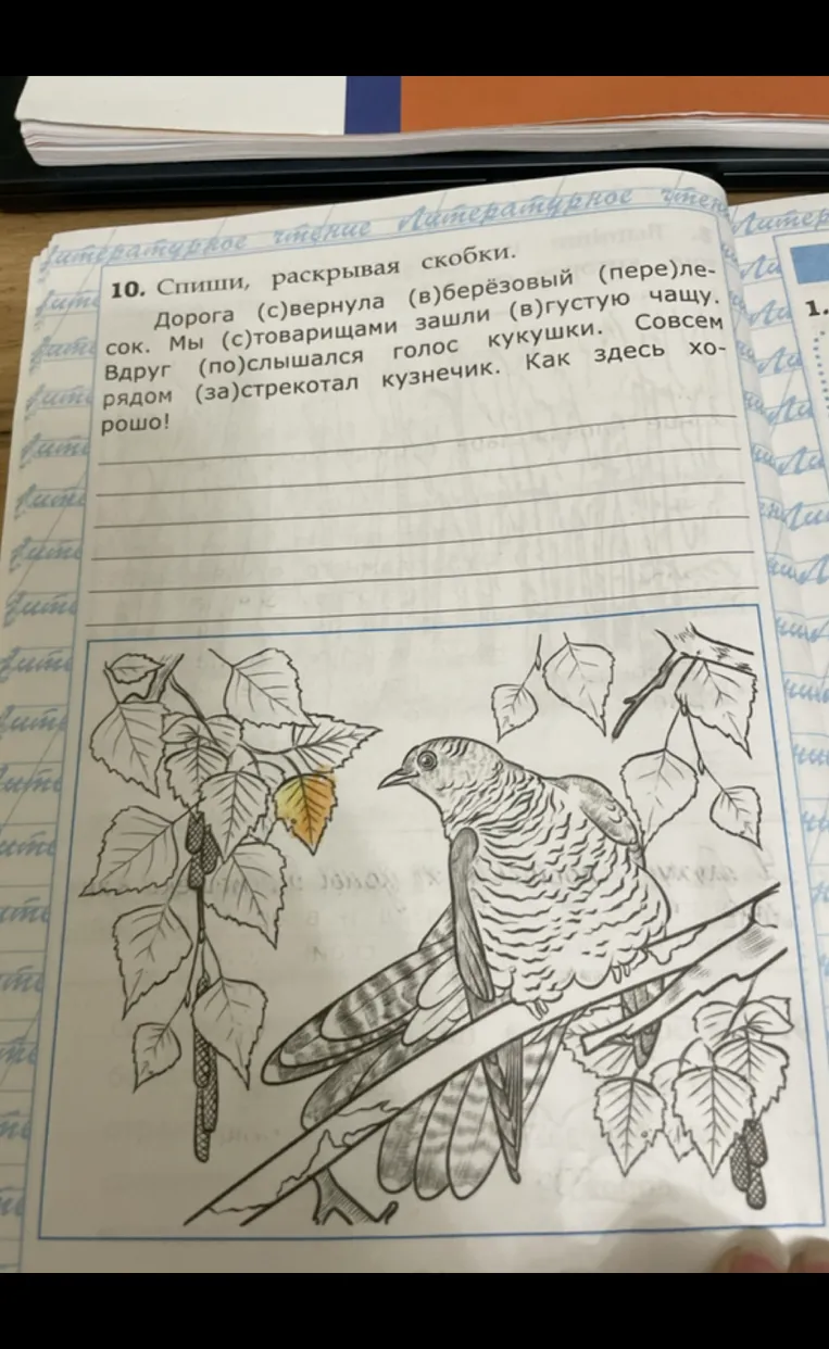 10. Спиши, раскрывая скобки. Дорога (с)вернула (в)берёзовый (пере)лесок. Мы (с)товарищами зашли (в)густую чащу. Совсем Вдруг (по)слышался голос кукушки. Совсем рядом (за)стрекотал кузнечик. Как здесь хорошо!