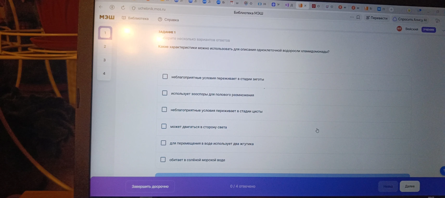 Какие характеристики можно использовать для описания одноклеточной водоросли хламидомонады?