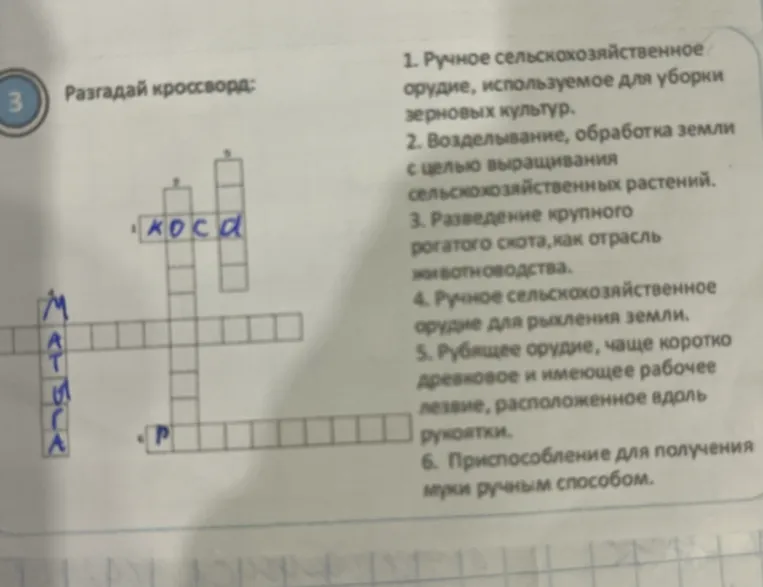 Разгадай кроссворд: 1. Ручное сельскохозяйственное орудие, используемое для уборки зерновых культур.