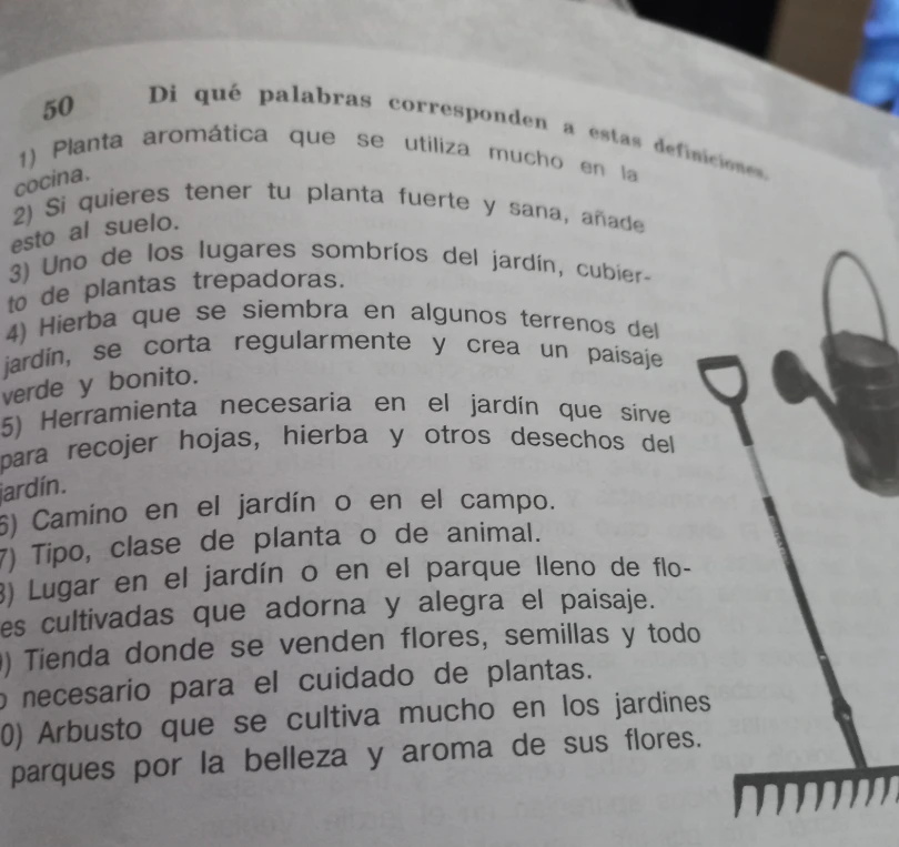 Di qué palabras corresponden a estas definiciones. 1) Planta aromática que se utiliza mucho en la cocina.