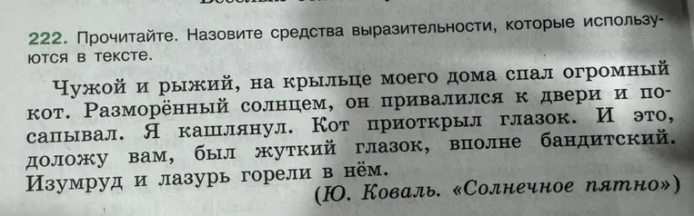 222. Прочитайте. Назовите средства выразительности, которые используются в тексте.