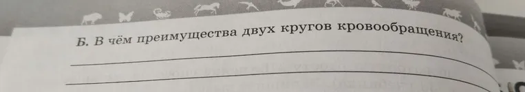Б. В чём преимущества двух кругов кровообращения?