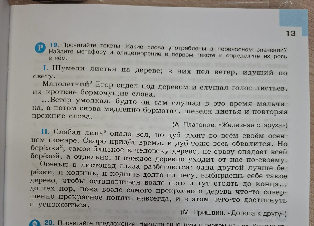 19. Прочитайте тексты. Какие слова употреблены в переносном значении? Найдите метафору и олицетворение в первом тексте и определите их роль в нём.