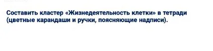 Составить кластер «Жизнедеятельность клетки» в тетради (цветные карандаши и ручки, поясняющие надписи).