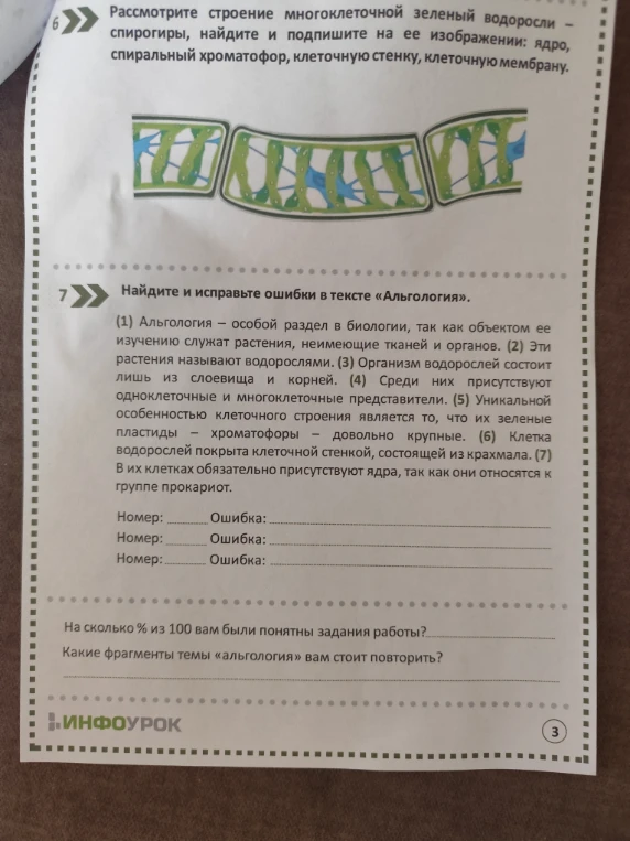 Рассмотрите строение многоклеточной зеленой водоросли – спирогиры, найдите и подпишите на ее изображении: ядро, спиральный хроматофор, клеточную стенку, клеточную мембрану.