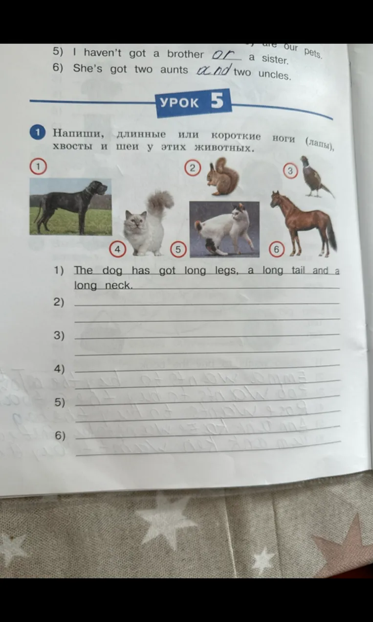 Напиши, длинные или короткие ноги (лапы), хвосты и шеи у этих животных.