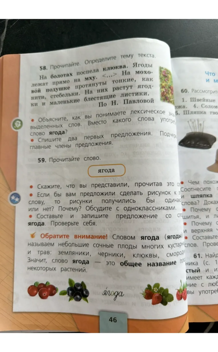 58. Прочитайте. Определите тему текста. На болотах поспела клюква. Ягоды лежат прямо на мху. <...> На моховой подушке протянуты тонкие, как нити, стебельки. На них растут ягодки и маленькие блестящие листики. По Н. Павловой