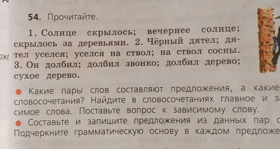 54. Прочитайте. 1. Солнце скрылось; вечернее солнце; скрылось за деревьями. 2. Чёрный дятел; дятел уселся; уселся на ствол; на ствол сосны. 3. Он долбил; долбил звонко; долбил дерево; сухое дерево.