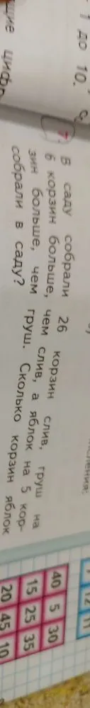 В саду собрали 26 корзин слив, груш на 6 корзин больше, чем слив, а яблок на 5 корзин больше, чем груш. Сколько корзин яблок собрали в саду?