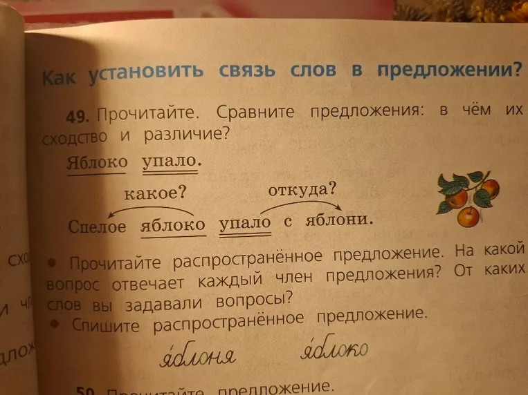 Прочитайте. Сравните предложения: в чём их сходство и различие?