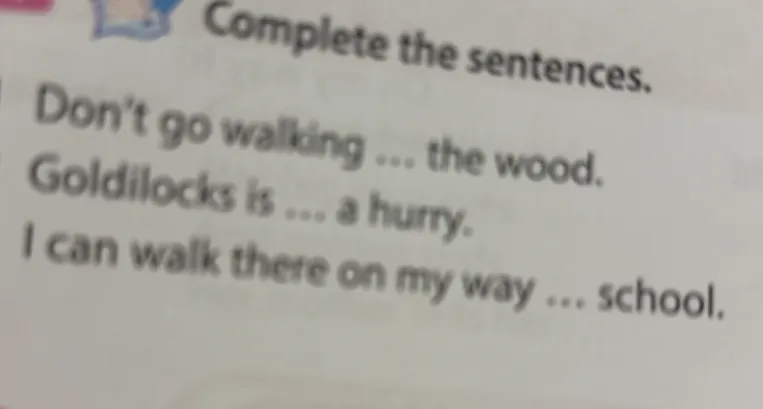 Complete the sentences.