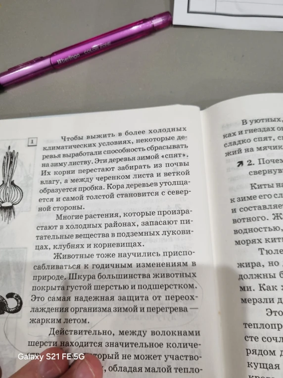 Какие здесь есть виды теплопередачь