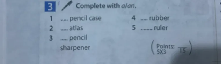 Complete with a/an.