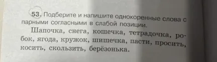 53. Подберите и напишите однокоренные слова с парными согласными в слабой позиции.