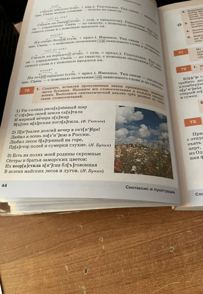 Спишите, вставляя пропущенные знаки препинания, заменяя звуки буквами. Назовите все словосочетания в каждом предложении. Выполните синтаксический анализ трёх разных по типу связи словосочетаний.