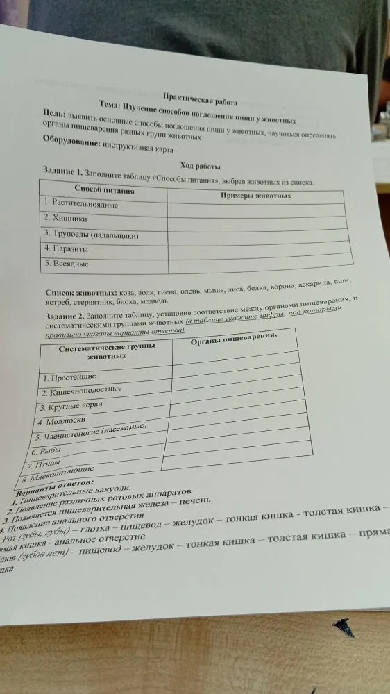 Практическая работа: Изучение способов поглощения пищи у животных