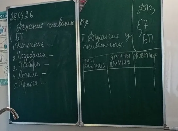Дыхание животных: 1. Дыхание - , 2. Газообмен - , 3. Жабры - , 4. Лёгкие - , 5. Трахеи - . II. Дыхание у животных. Таблица: Тип дыхания, Органы дыхания, Животные.