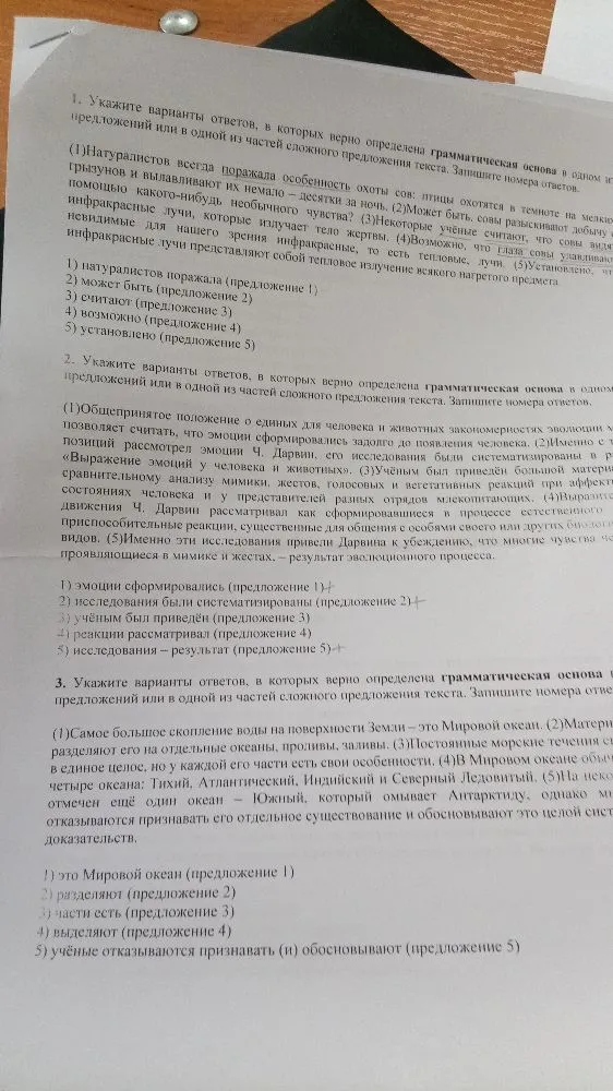 Укажите варианты ответов, в которых верно определена грамматическая основа в одном из предложений или в одной из частей сложного предложения текста.