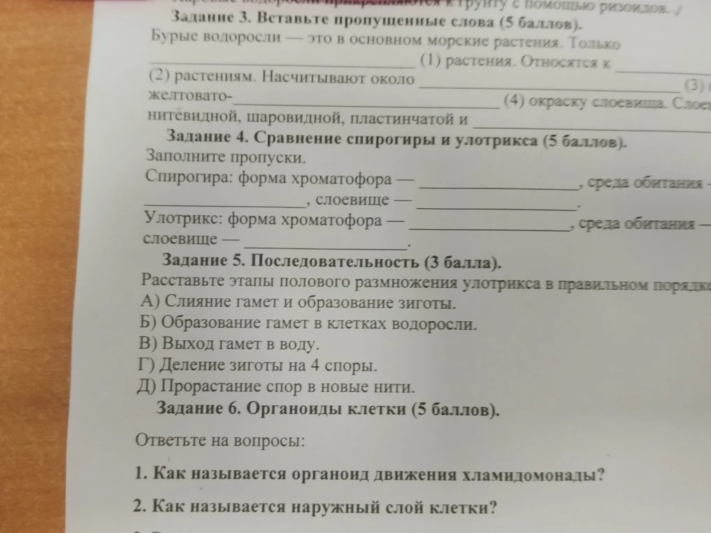 Задание 3. Вставьте пропущенные слова (5 баллов). Бурые водоросли — это в основном морские растения. Только (1) растения. Относятся к (2) растениям. Насчитывают около (3) видов. Имеют желтовато-(4) окраску слоевища. Слоевища бывают нитевидной, шаровидной, пластинчатой и (5) формы.
