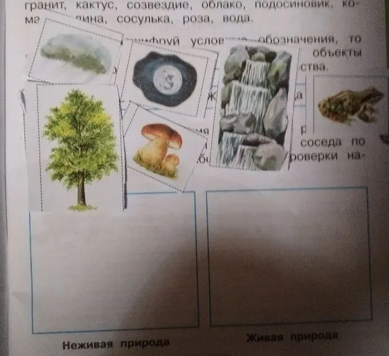 Необходимо распределить изображения объектов на группы «Неживая природа» и «Живая природа».