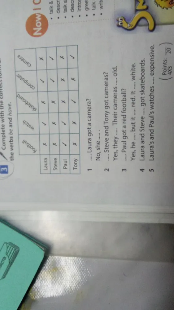 Complete with the correct form of the verbs be and have.