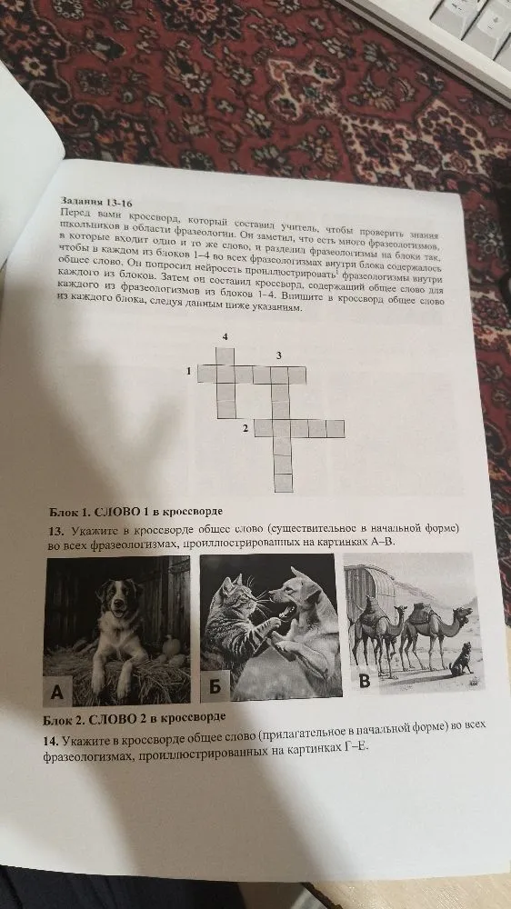 Укажите в кроссворде общее слово (существительное в начальной форме) во всех фразеологизмах, проиллюстрированных на картинках А-В.
