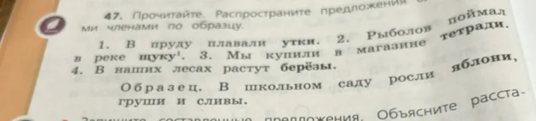 47. Прочитайте. Распространите предложения второстепенными членами по образцу.