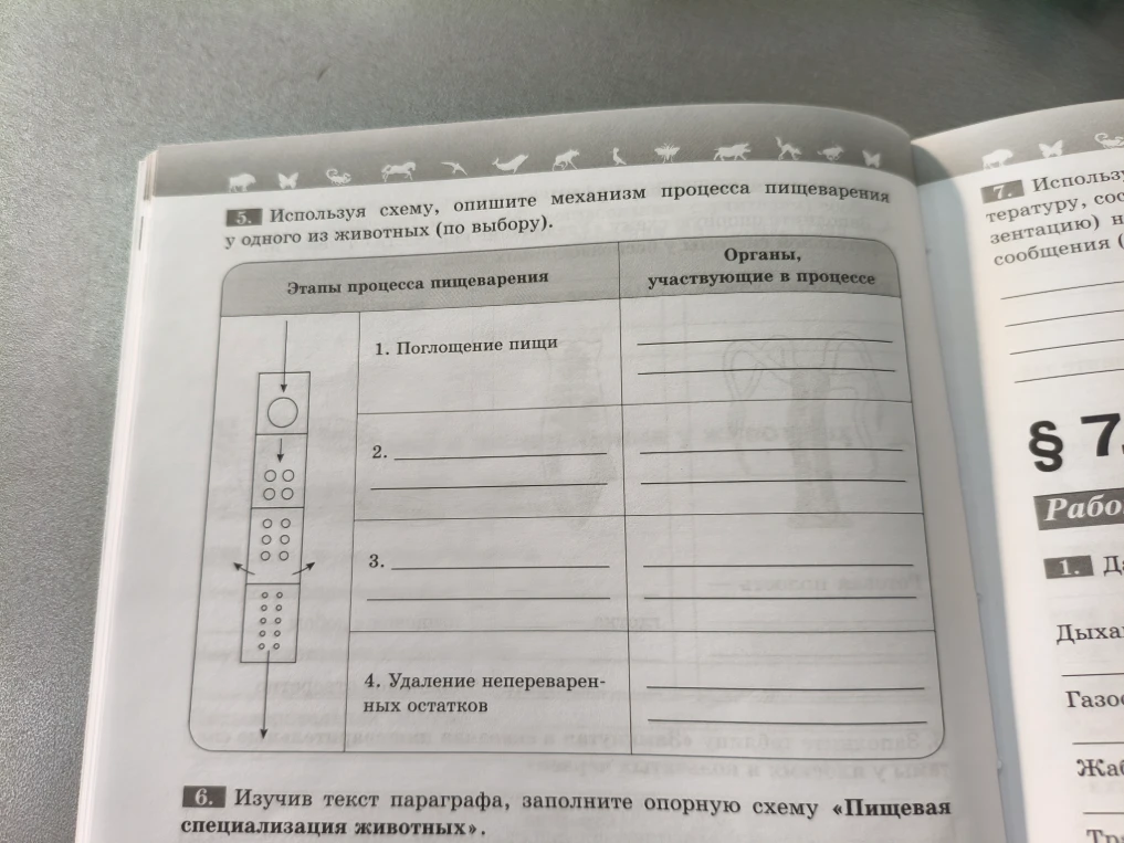 Используя схему, опишите механизм процесса пищеварения у одного из животных (по выбору).