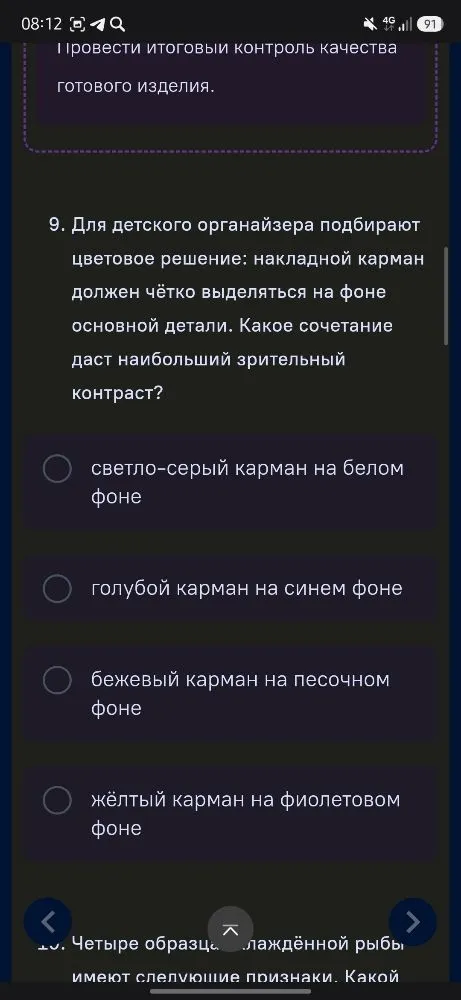 9. Для детского органайзера подбирают цветовое решение: накладной карман должен чётко выделяться на фоне основной детали. Какое сочетание даст наибольший зрительный контраст?